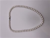 Collana Soma Gioielli Donna Collana perle in Perle Perla IMP COLLANA 57 PERLE - IMP COLLANA 57 PERLE